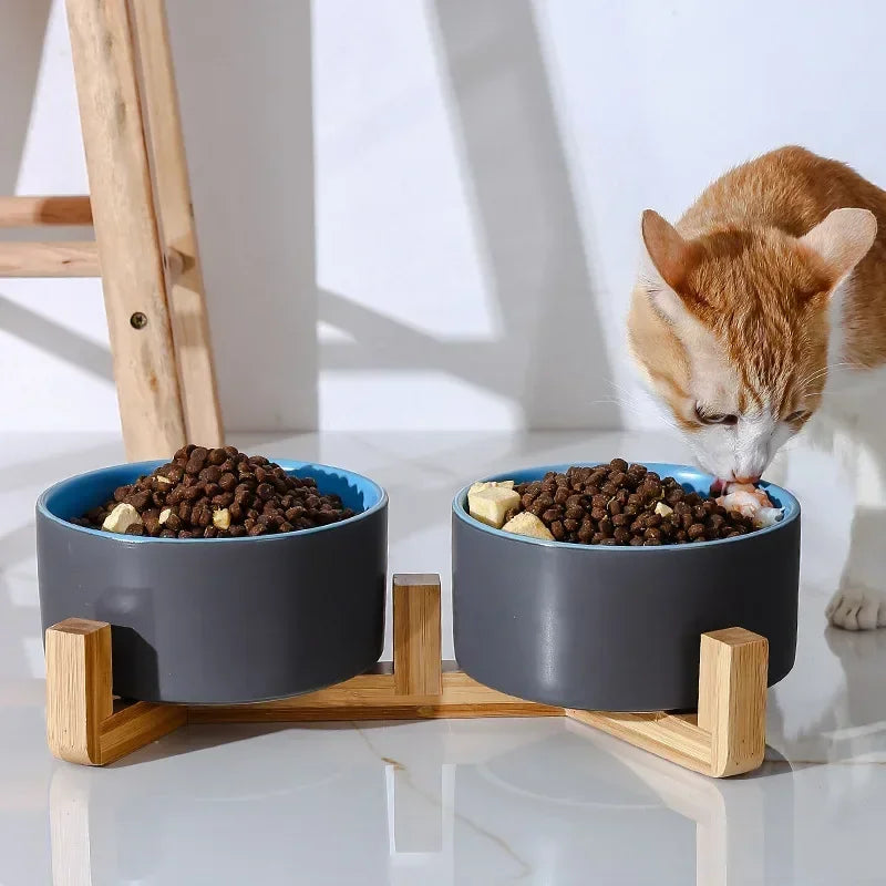 A5 Self-Assembly Ceramic Double Cat Bowl Dog Bowl 400ML Pet Feeding Water Bowl Cat Puppy Feeder Product Suppliesfood Water Bowls