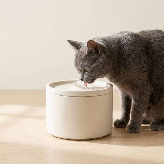 Fontaine à Eau Silencieuse pour Chat — Céramique Premium