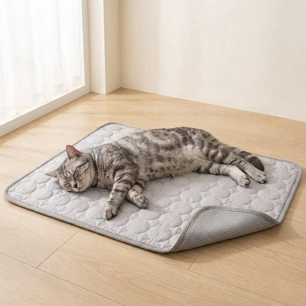 Chat gris endormi sur le tapis rafraîchissant gris en soie glacée Miaou & Sens